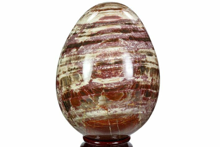 Colorful, Polished Petrified Wood Egg - Triassic #107398